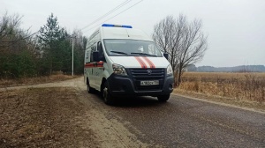 Спасатели «Мособлпожспаса» сопроводили пенсионерку из больницы до квартиры Спасатели «Мособлпожспаса» сопроводили пенсионерку из больницы до квартиры