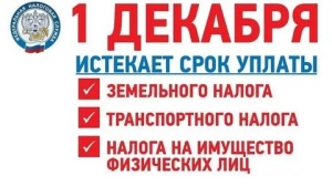 1 ДЕКАБРЯ истекает срок уплаты 1 ДЕКАБРЯ истекает срок уплаты