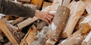 Жителям Серебряных Прудов рассказали какой объем дров нужно заготавливать на зиму Жителям Серебряных Прудов рассказали какой объем дров нужно заготавливать на зиму