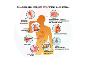 Употребление алкоголя и его вредоносность