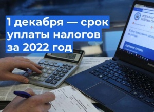 Если не заплатить налоги до 1 декабря, налоговая начнет начислять пени