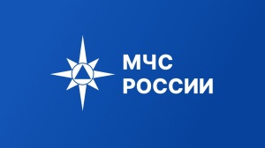 Справку о пожаре можно получить через Госуслуги