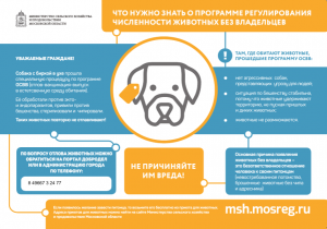 Что нужно знать о программе регулирования численности животных без владельцев