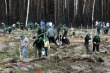 Более 3 тысяч деревьев посадят в Серебряно-Прудском районе