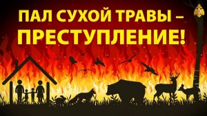 Ежегодно после схода снежного покрова происходят десятки возгораний прошлогодней травы из-за неосторожного обращения с огнем и детской шалости.