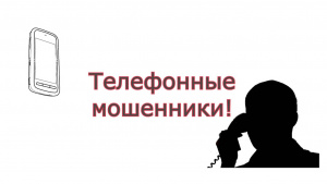 Полицейские ОМВД России по г.о. Серебряные Пруды задержали подозреваемую в совершении мошенничества