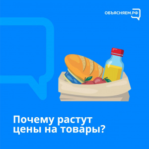 Почему растут цены на товары?