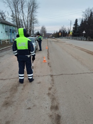 Сотрудники Госавтоинспекции проверили водителей в рамках профилактического мероприятия «Нетрезвый водитель».