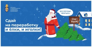 В период с 15.01.2025 г. по 10.02.2025 г. на территории муниципального округа Серебряные Пруды Московской области запланировано проведение акции «Сдай на переработку и елки, и иголки!»