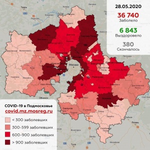 774 новых случая заболевания коронавирусом выявлено в Подмосковье за сутки