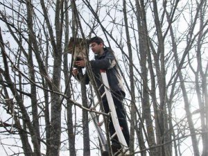 С любовью встречай птичьи стаи