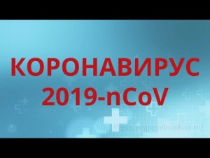 Заместитель главного врача ГБУЗ МО "Серебряно Прудская ЦРБ" Филимонова Н.П. о ситуации в районе.