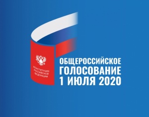 Подать заявку на участие в голосовании по поправкам к Конституции РФ можно по месту нахождения