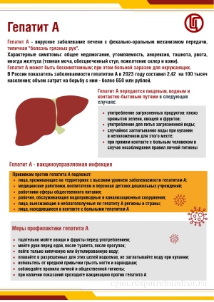 Вирусные гепатиты – группа инфекционно-воспалительных заболеваний печени