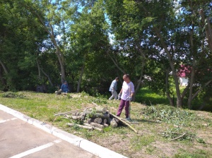 Благоустройство: произведена опиловка деревьев