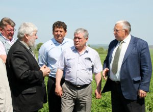 Перед началом зеленой жатвы