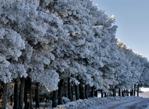 Погода в Серебряных Прудах на 6 декабря