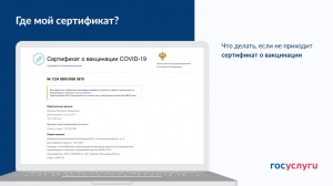 Что делать, если не приходит сертификат о вакцинации